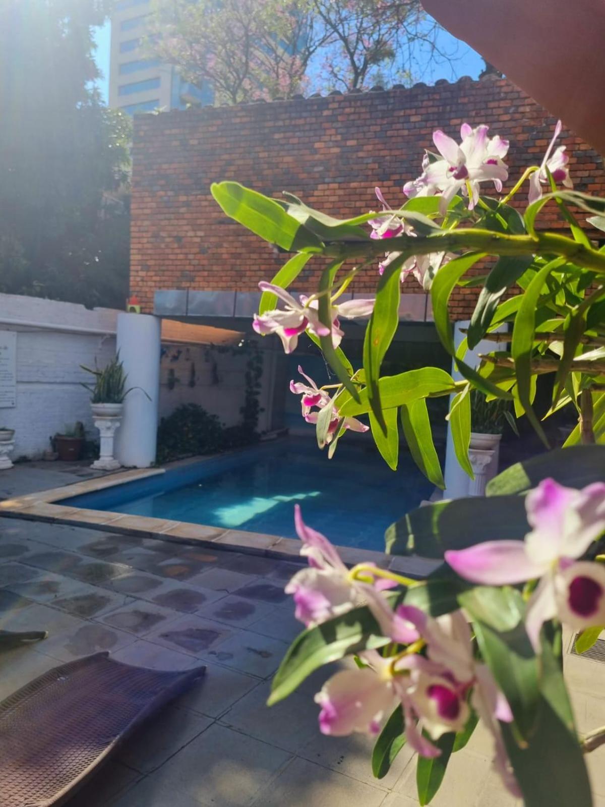 Hotel Hassler Asuncion Exterior foto